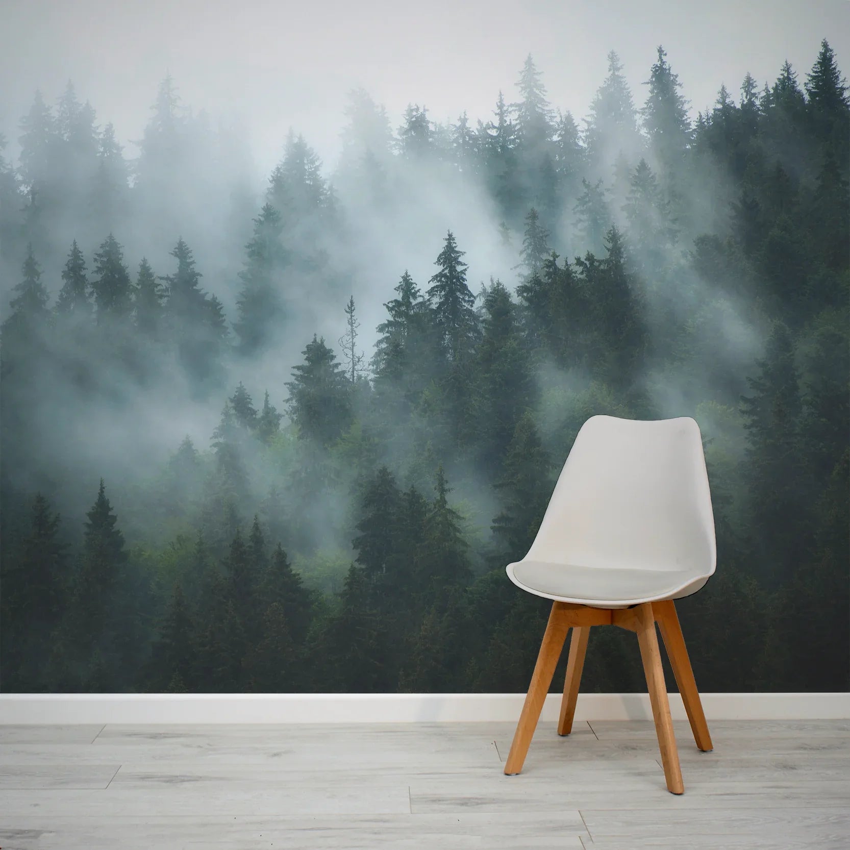 Custom Wall Murals