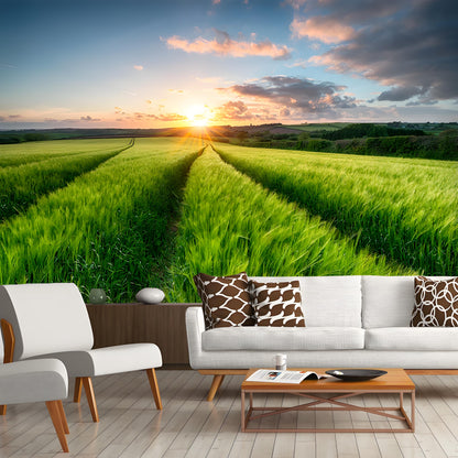 Custom Wall Murals